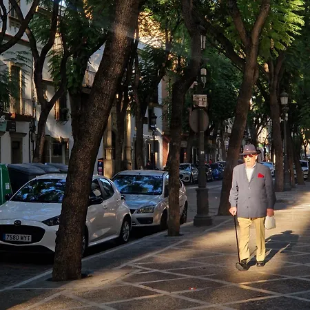 Palo Cortado 16 Jerez de la Frontera